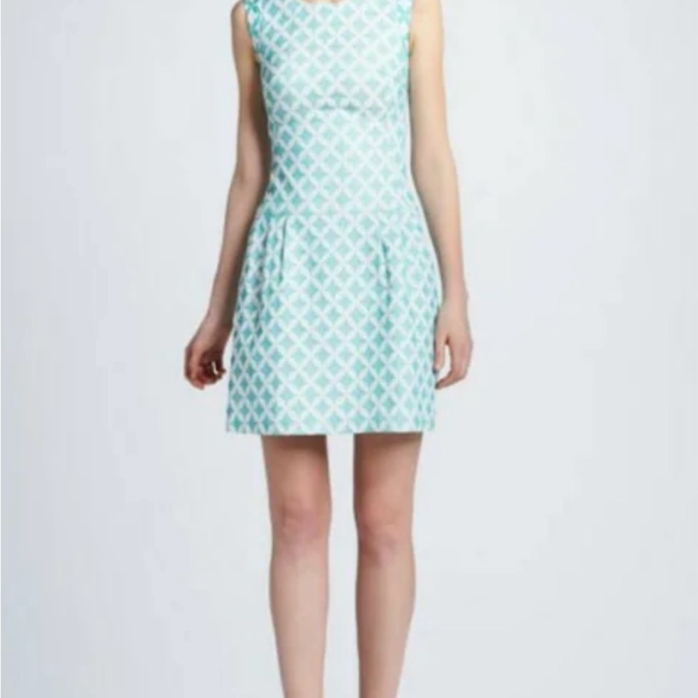 Phoebe Couture NWOT Diamond Sleeveless Drop Waist Mint Mesh Dress size 8